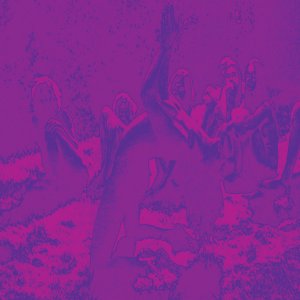 Acid Guru Pond (feat. Acid Mothers Temple & Guru Guru) by Bardo Pond on Apple Music