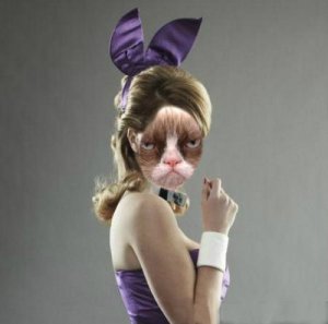 grumpy-playboy-bunny.jpg