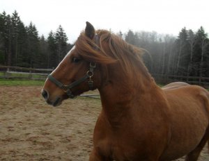 599093_10151059372672504_983407335_n (1).jpg