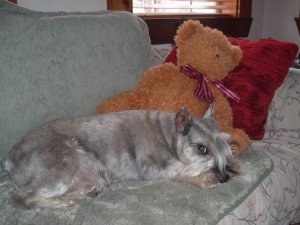 Squiggy and his Bear 002.jpg