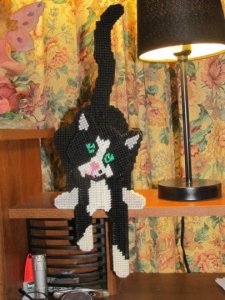 Canvas Cat 002.JPG