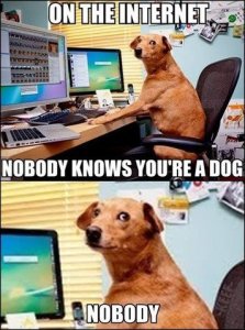 Internet Dog.jpg
