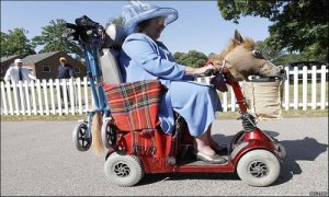 horse_mobility_scooter.jpg