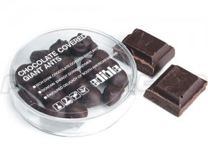 chocolate-covered-ants.jpg chocolate-covered-ants.jpg