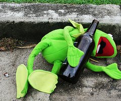 bottle-caco-drunk-frog-funny-wine-Favim_com-51565_thumb.jpg
