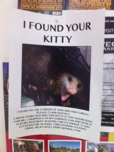 kitty found.jpg