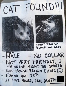 possum_poster[1].jpg