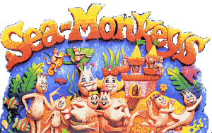 seamonkeys.jpg.gif