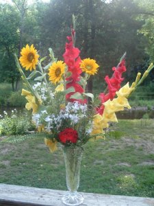6-26-13 002.jpg