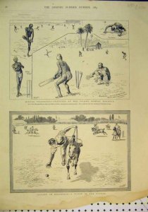 cricket-in-india.jpg