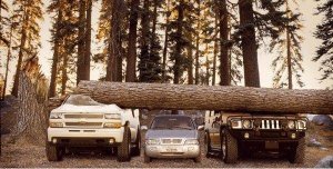 Size isn't Everything.jpg