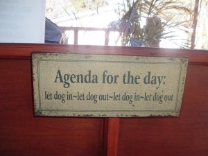 AGENDA FOR THE DAY 006.jpg