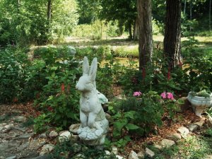 Butterflies and Flowers 059.jpg