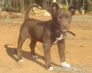 030306-3.jpg