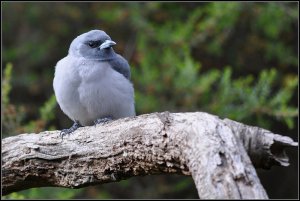 DSC_0175.JPG