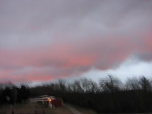 Jokerhooves,pasture,redsky,02-05-13 001.jpg