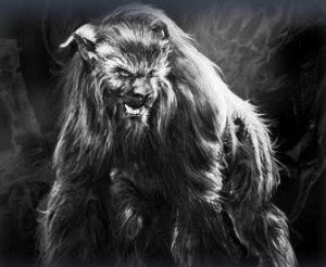 howler-300x246.jpg