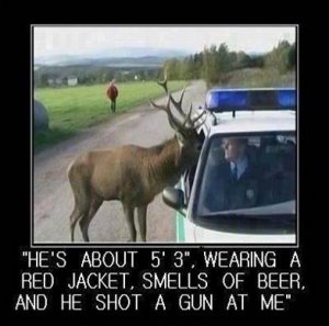 215534[1].jpg