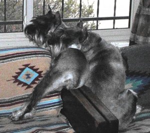 Sigi and Hans Love.jpg