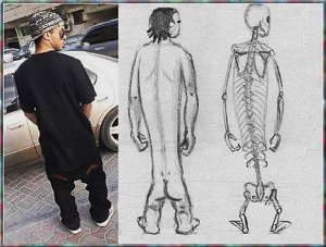 New Species.jpg