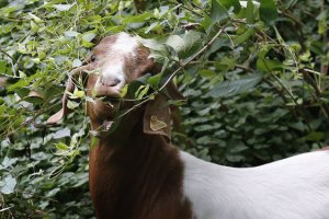 inline_749960604128.jpg inline_749960604128.jpg