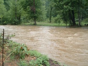 MORE RAin 011.jpg