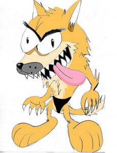 dingo.jpg