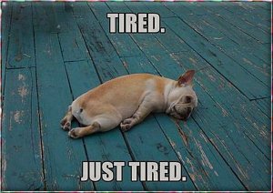 tired.jpg