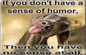 sense of humour.jpg