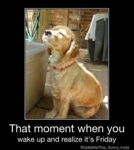 Friday picture.jpg