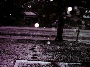 IMGP3317.jpg