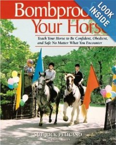 bombproof your horse.jpg