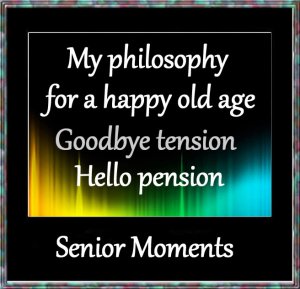 Senior Moments.3.jpg