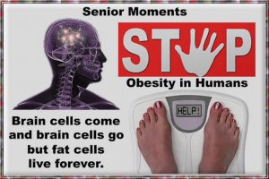 Senior Moments.4.jpg