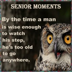 Senior Moments.5.jpg