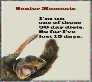 Senior Moments.9.jpg