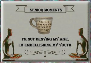 Senior Moments 10.jpg