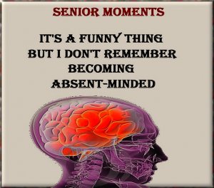 Senior Moments.11.jpg