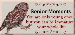 Senior Moments.15.jpg