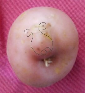 potato head.jpg potato head.jpg