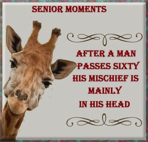 Senior Moments.16.jpg