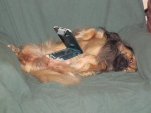 Tigg 005-battery.jpg