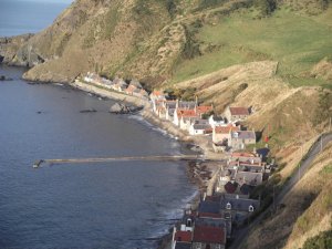 crovie.jpg