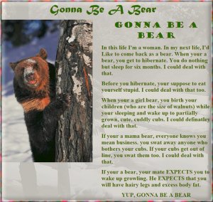gonna be a bear.jpg