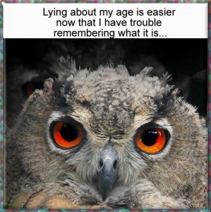 Senior Moments.22.jpg