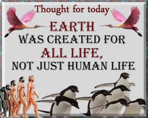 Thought Earth.jpg