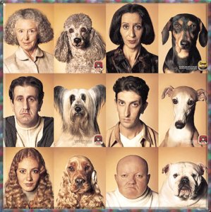 dogowners.jpg