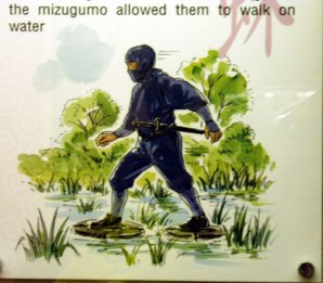 ninja_mizugumo1.jpg