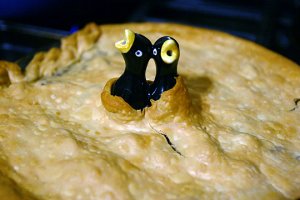 Pie-Bird-photo.jpg