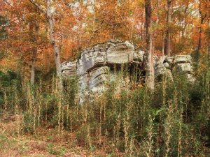 Fall 2013 Hiking in Back 006.jpg